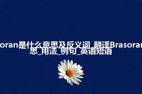 Brasoran是什么意思及反义词_翻译Brasoran的意思_用法_例句_英语短语