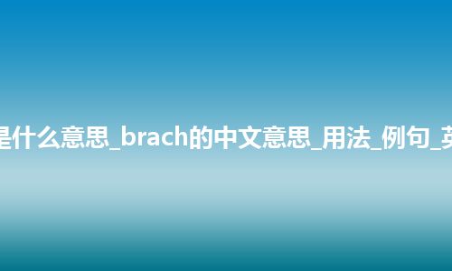 brach是什么意思_brach的中文意思_用法_例句_英语短语