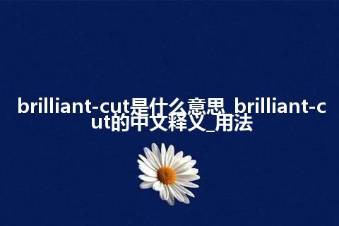 brilliant-cut是什么意思_brilliant-cut的中文释义_用法