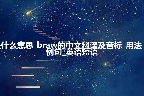 braw是什么意思_braw的中文翻译及音标_用法_同义词_例句_英语短语