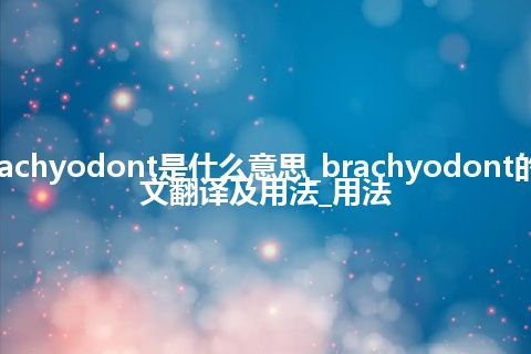 brachyodont是什么意思_brachyodont的中文翻译及用法_用法