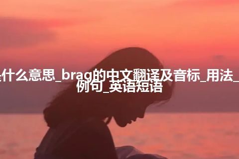 brag是什么意思_brag的中文翻译及音标_用法_同义词_例句_英语短语