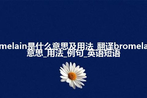 bromelain是什么意思及用法_翻译bromelain的意思_用法_例句_英语短语