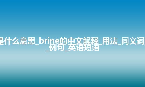 brine是什么意思_brine的中文解释_用法_同义词_反义词_例句_英语短语