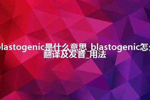 blastogenic是什么意思_blastogenic怎么翻译及发音_用法