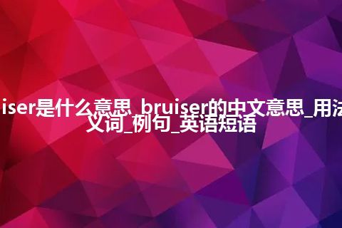 bruiser是什么意思_bruiser的中文意思_用法_同义词_例句_英语短语