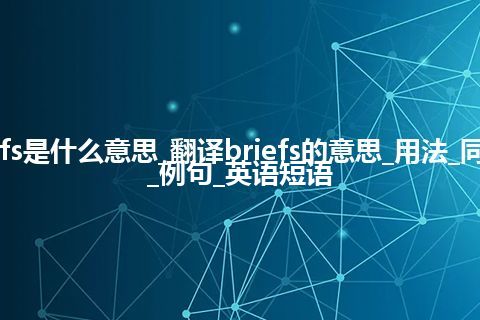 briefs是什么意思_翻译briefs的意思_用法_同义词_例句_英语短语