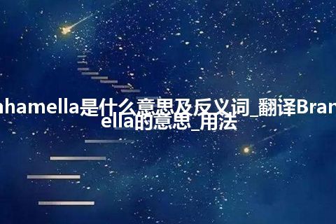 Branhamella是什么意思及反义词_翻译Branhamella的意思_用法