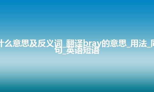 bray是什么意思及反义词_翻译bray的意思_用法_同义词_例句_英语短语