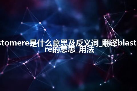 blastomere是什么意思及反义词_翻译blastomere的意思_用法