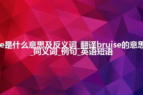 bruise是什么意思及反义词_翻译bruise的意思_用法_同义词_例句_英语短语