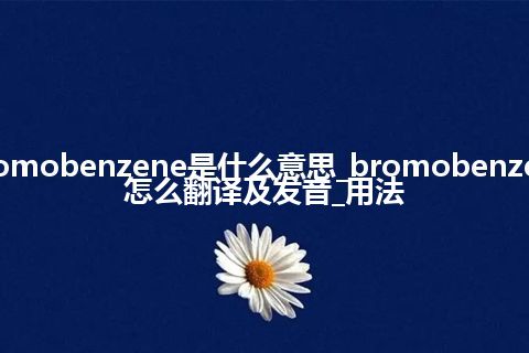 bromobenzene是什么意思_bromobenzene怎么翻译及发音_用法