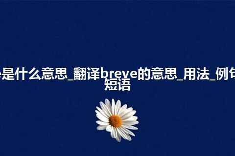 breve是什么意思_翻译breve的意思_用法_例句_英语短语