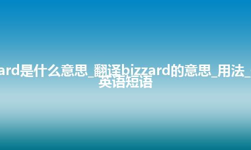 bizzard是什么意思_翻译bizzard的意思_用法_例句_英语短语