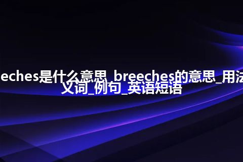 breeches是什么意思_breeches的意思_用法_同义词_例句_英语短语