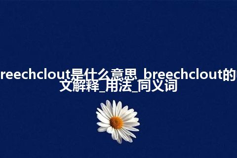 breechclout是什么意思_breechclout的中文解释_用法_同义词