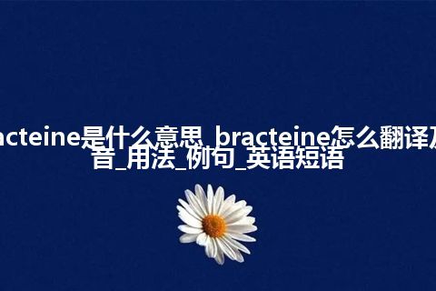 bracteine是什么意思_bracteine怎么翻译及发音_用法_例句_英语短语