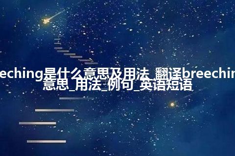 breeching是什么意思及用法_翻译breeching的意思_用法_例句_英语短语