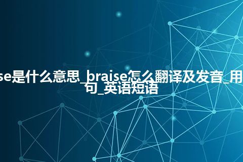 braise是什么意思_braise怎么翻译及发音_用法_例句_英语短语