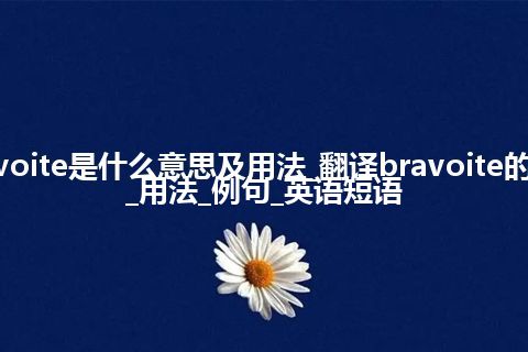 bravoite是什么意思及用法_翻译bravoite的意思_用法_例句_英语短语