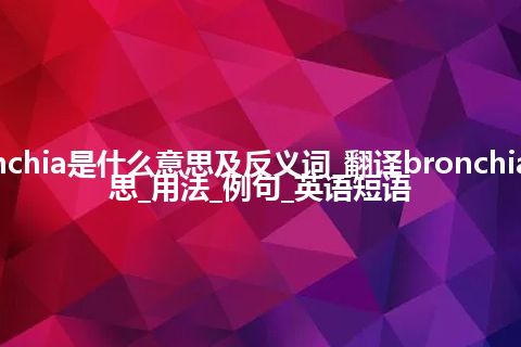 bronchia是什么意思及反义词_翻译bronchia的意思_用法_例句_英语短语