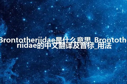 Brontotheriidae是什么意思_Brontotheriidae的中文翻译及音标_用法