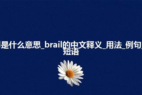 brail是什么意思_brail的中文释义_用法_例句_英语短语