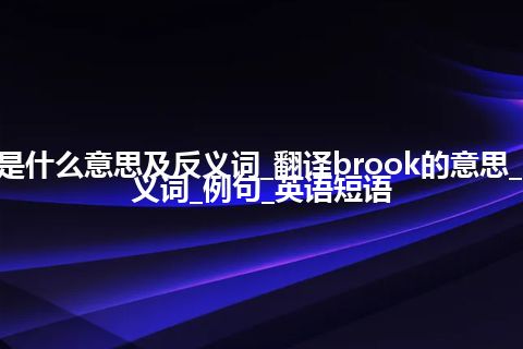 brook是什么意思及反义词_翻译brook的意思_用法_同义词_例句_英语短语