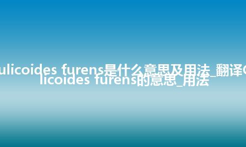 Culicoides furens是什么意思及用法_翻译Culicoides furens的意思_用法