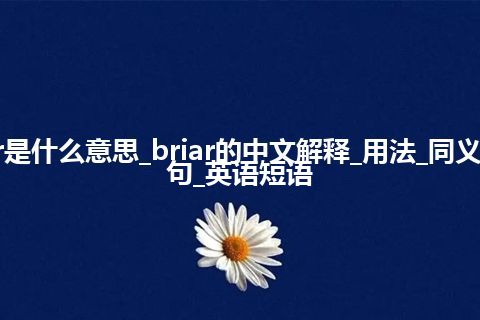 briar是什么意思_briar的中文解释_用法_同义词_例句_英语短语