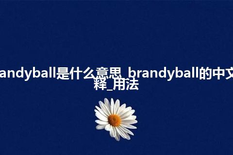 brandyball是什么意思_brandyball的中文解释_用法