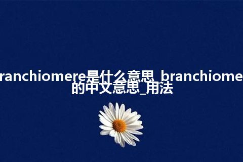 branchiomere是什么意思_branchiomere的中文意思_用法