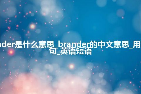 brander是什么意思_brander的中文意思_用法_例句_英语短语