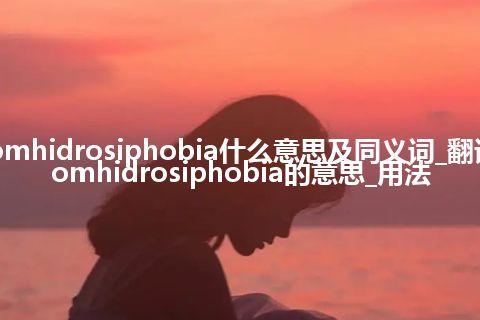 bromhidrosiphobia什么意思及同义词_翻译bromhidrosiphobia的意思_用法