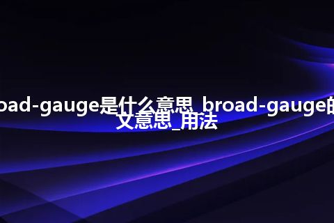 broad-gauge是什么意思_broad-gauge的中文意思_用法