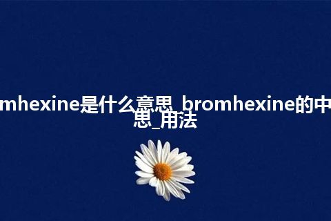 bromhexine是什么意思_bromhexine的中文意思_用法