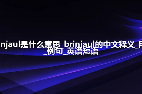 brinjaul是什么意思_brinjaul的中文释义_用法_例句_英语短语