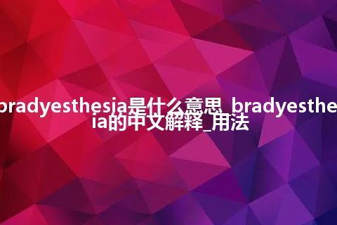 bradyesthesia是什么意思_bradyesthesia的中文解释_用法