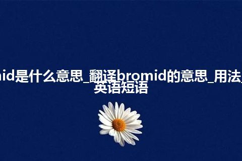 bromid是什么意思_翻译bromid的意思_用法_例句_英语短语