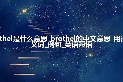 brothel是什么意思_brothel的中文意思_用法_同义词_例句_英语短语