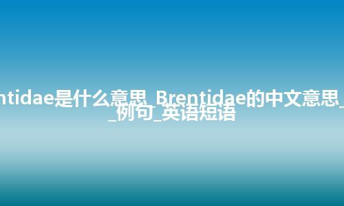 Brentidae是什么意思_Brentidae的中文意思_用法_例句_英语短语