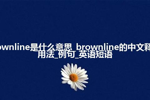 brownline是什么意思_brownline的中文释义_用法_例句_英语短语