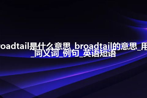 broadtail是什么意思_broadtail的意思_用法_同义词_例句_英语短语