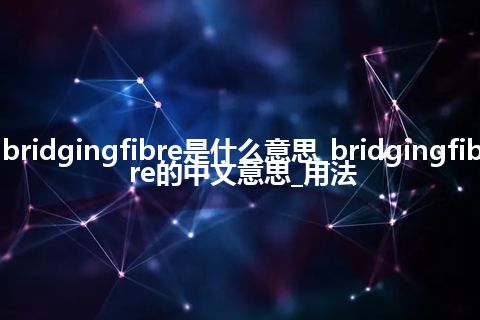 bridgingfibre是什么意思_bridgingfibre的中文意思_用法