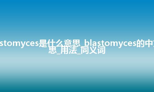 blastomyces是什么意思_blastomyces的中文意思_用法_同义词