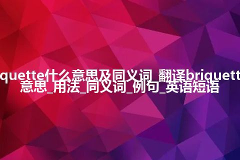 briquette什么意思及同义词_翻译briquette的意思_用法_同义词_例句_英语短语