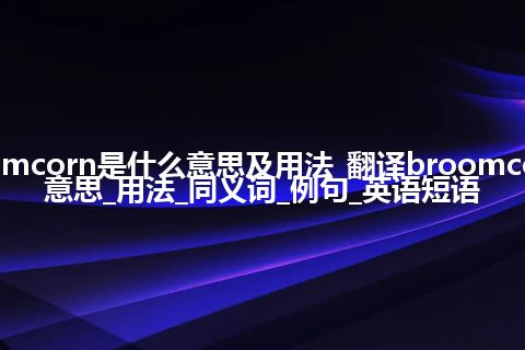 broomcorn是什么意思及用法_翻译broomcorn的意思_用法_同义词_例句_英语短语