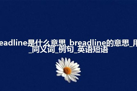 breadline是什么意思_breadline的意思_用法_同义词_例句_英语短语