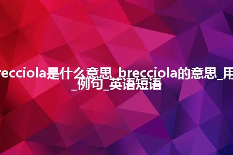 brecciola是什么意思_brecciola的意思_用法_例句_英语短语