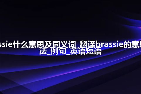 brassie什么意思及同义词_翻译brassie的意思_用法_例句_英语短语